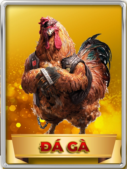 Đá gà