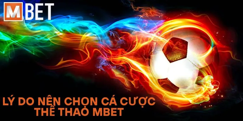 Lý do nên chọn cá cược thể thao Mbet