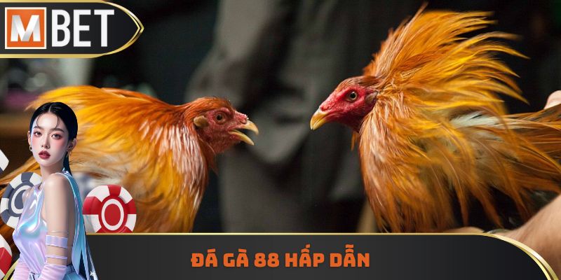 Đá gà 88